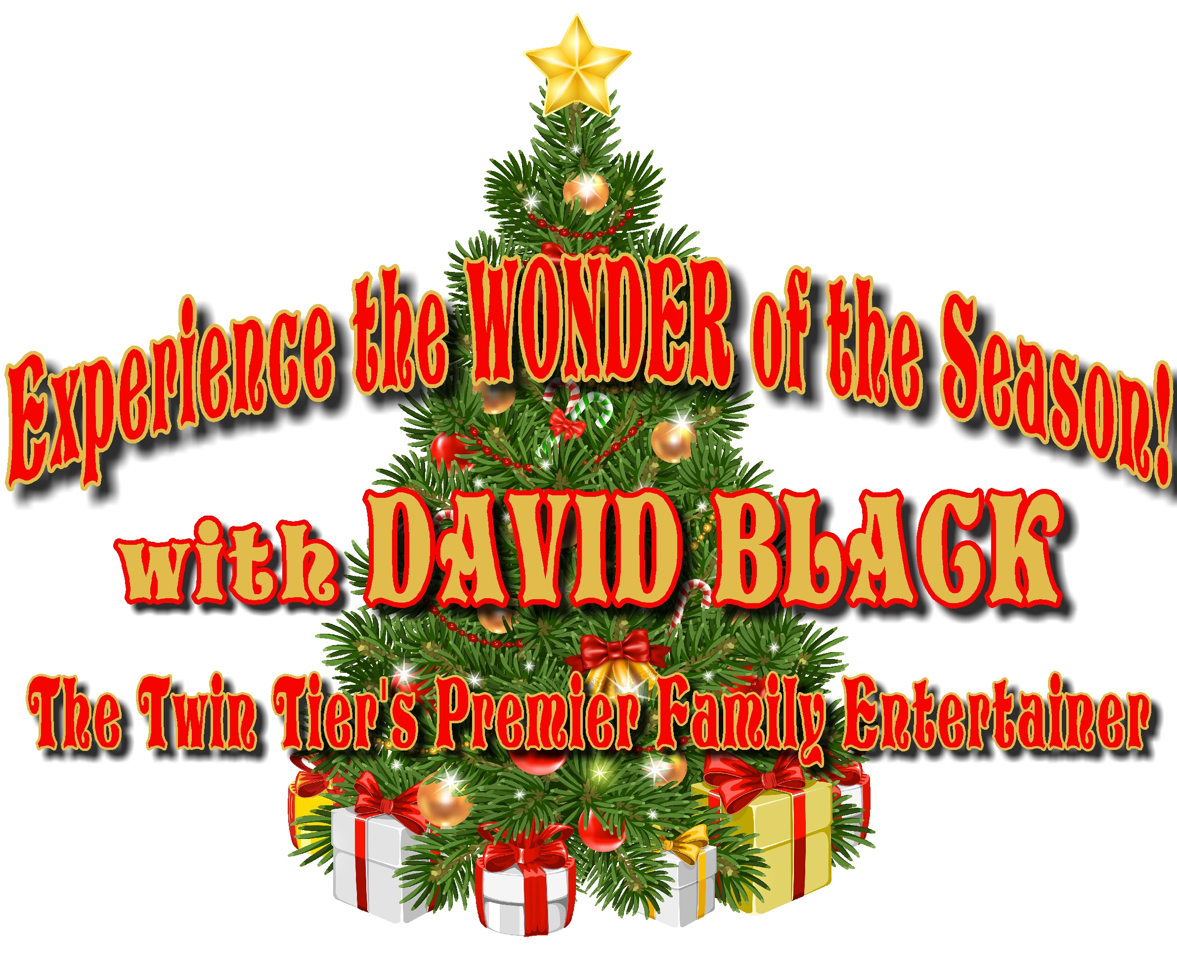 The Wonder of the Season